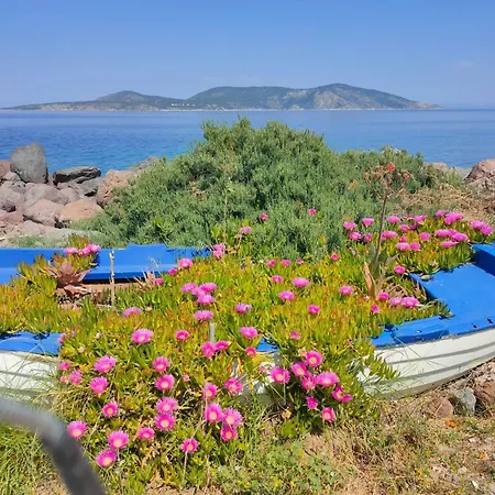 On The Sea Suite&spa 别墅